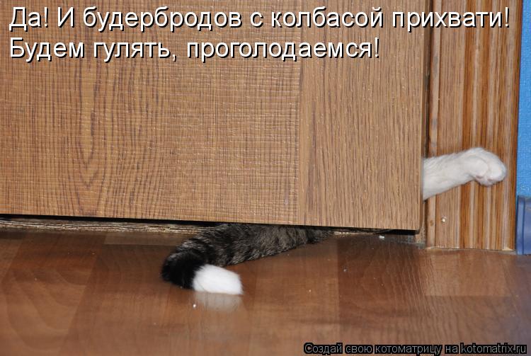 Котоматрица: Да! И будербродов с колбасой прихвати! Будем гулять, проголодаемся!
