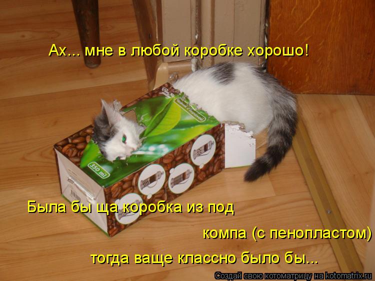Котоматрица: Ах... мне в любой коробке хорошо! Была бы ща коробка из под  компа (с пенопластом) тогда ваще классно было бы...