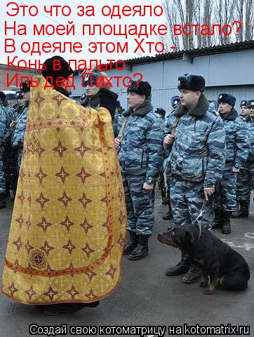 Котоматрица: Это что за одеяло На моей площадке встало? В одеяле этом Хто - Конь в пальто  Иль дед Пихто?
