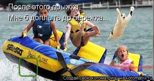 Котоматрица: После этого прыжка, Мне б доплыть до бережка...