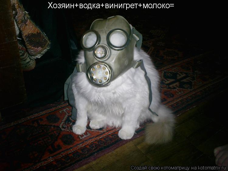 Котоматрица: Хозяин+водка+винигрет+молоко=