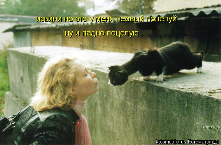 Котоматрица: извини но это у меня первый поцелуй  ну и ладно поцелую
