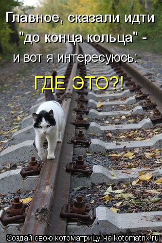 Котоматрица: Главное, сказали идти  "до конца кольца" -  и вот я интересуюсь: ГДЕ ЭТО?!