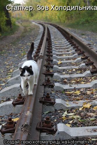 Котоматрица: Сталкер. Зов Холодильника
