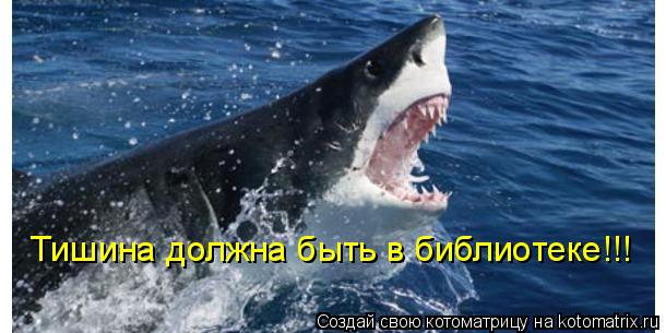 Котоматрица: Тишина должна быть в библиотеке!!!
