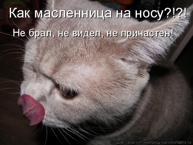 Не брал, не видел, не причастен! Как масленница на носу?!?!... Котоматрица: Не брал, не видел, не причастен! Как масленница на носу?!?!