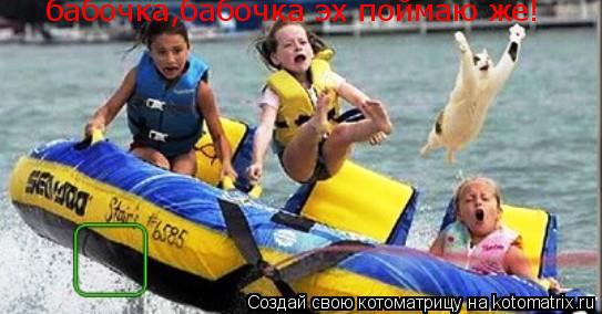 Котоматрица: бабочка,бабочка эх поймаю же!