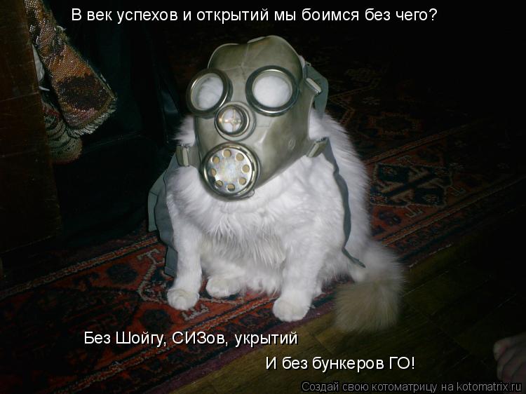 Котоматрица: В век успехов и открытий мы боимся без чего? Без Шойгу, СИЗов, укрытий И без бункеров ГО!