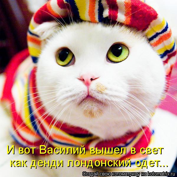 Котоматрица: И вот Василий вышел в свет как денди лондонский одет...
