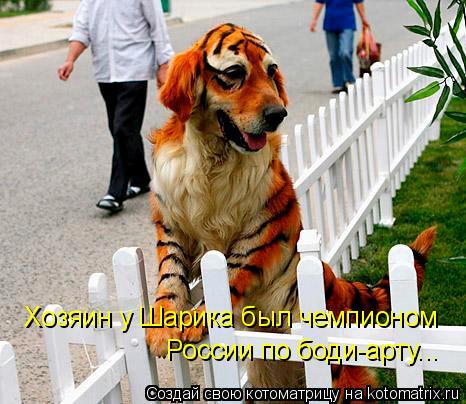 Котоматрица: Хозяин у Шарика был чемпионом  России по боди-арту...