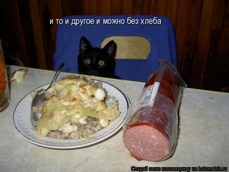 Котоматрица: и то и другое и можно без хлеба