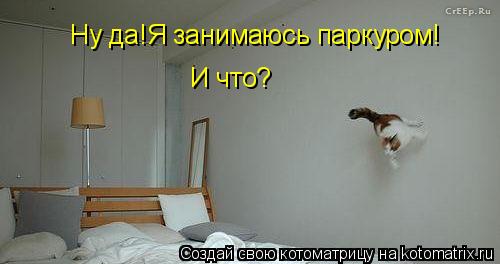 Котоматрица: Ну да!Я занимаюсь паркуром! И что?