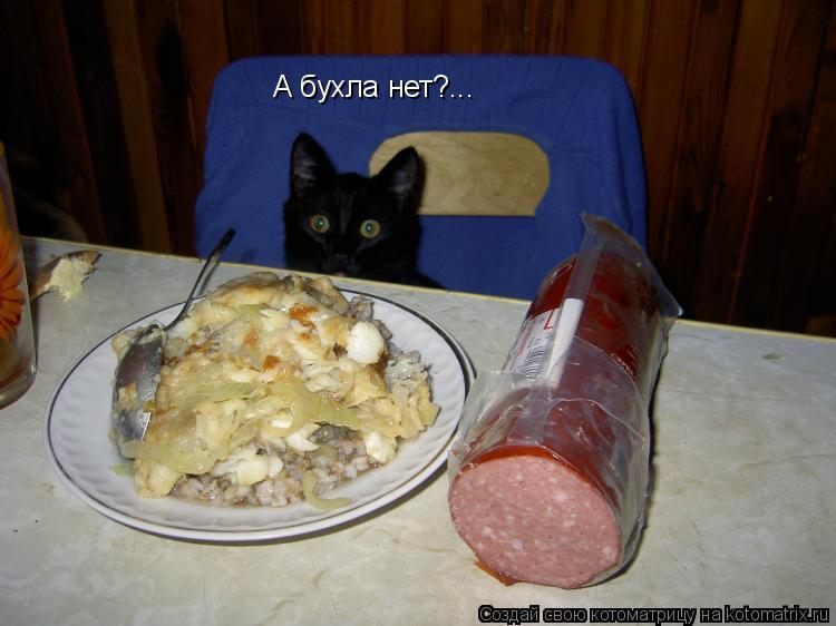 Котоматрица: А бухла нет?...