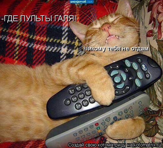 Котоматрица: -ГДЕ ПУЛЬТЫ ГАЛЯ! Никому тебя не отдам