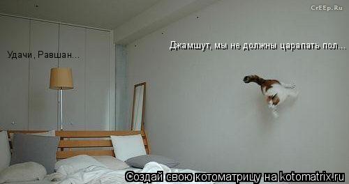 Котоматрица: Джамшут, мы не должны царапать пол... Удачи, Равшан...