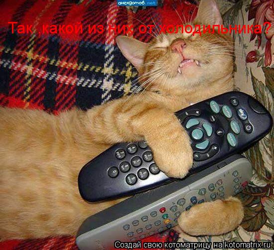 Котоматрица: Так ,какой из них от холодильника?