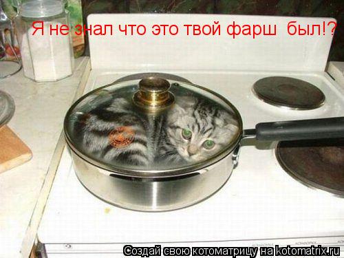 Котоматрица: Я не знал что это твой фарш  был!?