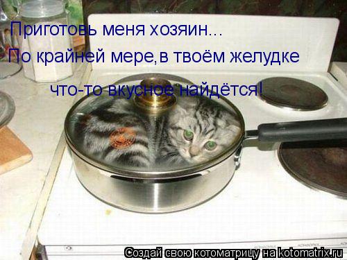 Котоматрица: Приготовь меня хозяин... По крайней мере,в твоём желудке что-то вкусное найдётся!