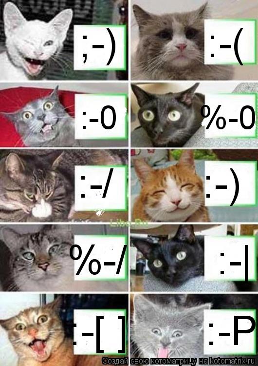 Котоматрица: ;-)        :-( :-0         %-0 :-/        :-) %-/        :-| :-[ ]       :-Р