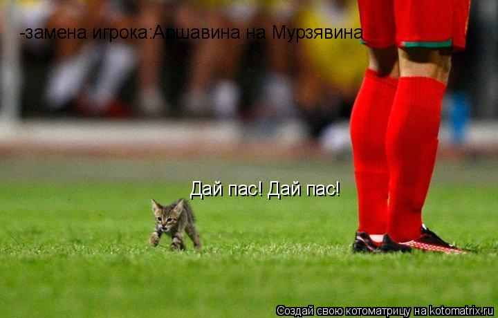 Котоматрица: Дай пас! Дай пас! -замена игрока:Аршавина на Мурзявина