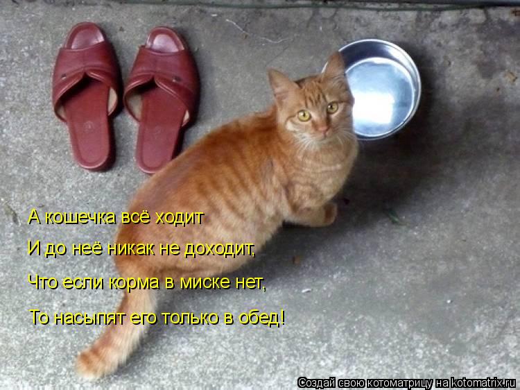 Котоматрица: А кошечка всё ходит И до неё никак не доходит, Что если корма в миске нет, То насыпят его только в обед!