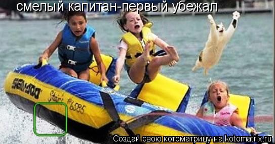 Котоматрица: смелый капитан-первый убежал
