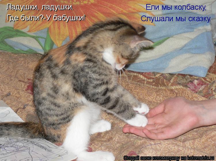 Котоматрица: Ладушки, ладушки Ладушки, ладушки. Где были?-У бабушки! Ели мы колбаску, Слушали мы сказку.