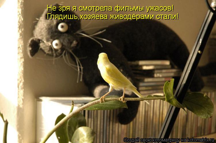 Котоматрица: Не зря я смотрела фильмы ужасов! Глядишь,хозяева живодёрами стали!