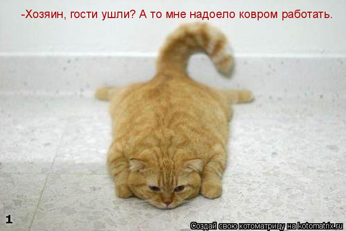 Котоматрица: -Хозяин, гости ушли? А то мне надоело ковром работать.