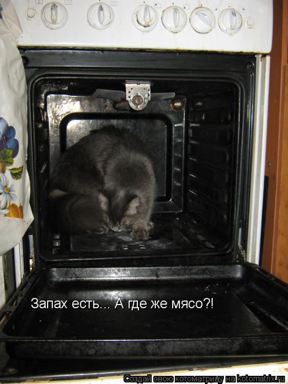 Котоматрица: Запах есть... А где же мясо?!