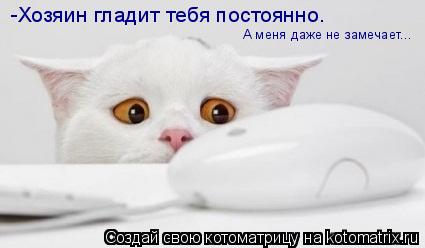 -Хозяин гладит тебя постоянно. А меня даже не замечает...... Котоматрица: -Хозяин гладит тебя постоянно. А меня даже не замечает...