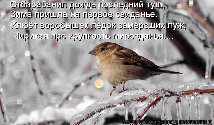 Отбарабанил дождь последний туш, Зима пришла на первое свиданье. Клюёт воробышек ледок замёрзших луж,... Котоматрица: Отбарабанил дождь последний туш, Зима пришла на первое свиданье. Клюёт воробышек ледок замёрзших луж, Чирикая про хрупкость мирозданья....