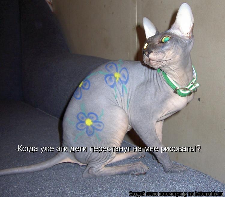 -Когда уже эти дети перестанут на мне рисовать!?... Котоматрица: -Когда уже эти дети перестанут на мне рисовать!?