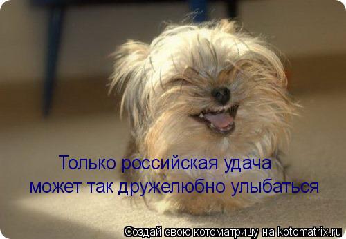 Котоматрица: Только российская удача может так дружелюбно улыбаться Только российская удача может так дружелюбно улыбаться Только российская удача мо