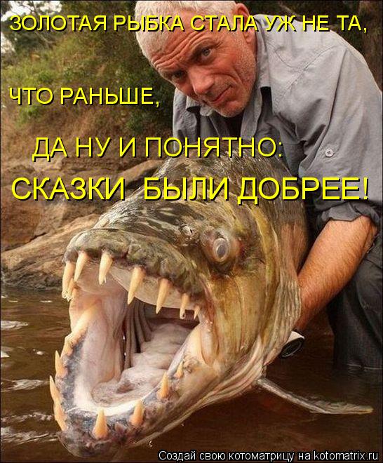 Котоматрица: ДА НУ И ПОНЯТНО: СКАЗКИ  БЫЛИ ДОБРЕЕ! ЗОЛОТАЯ РЫБКА СТАЛА УЖ НЕ ТА,  ЧТО РАНЬШЕ,