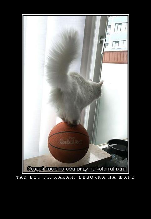 Котоматрица: так вот ты какая, девочка на шаре 