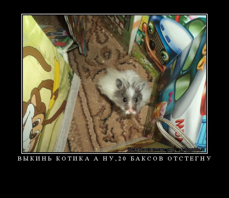 Котоматрица: выкинь котика а ну,20 баксов отстегну 
