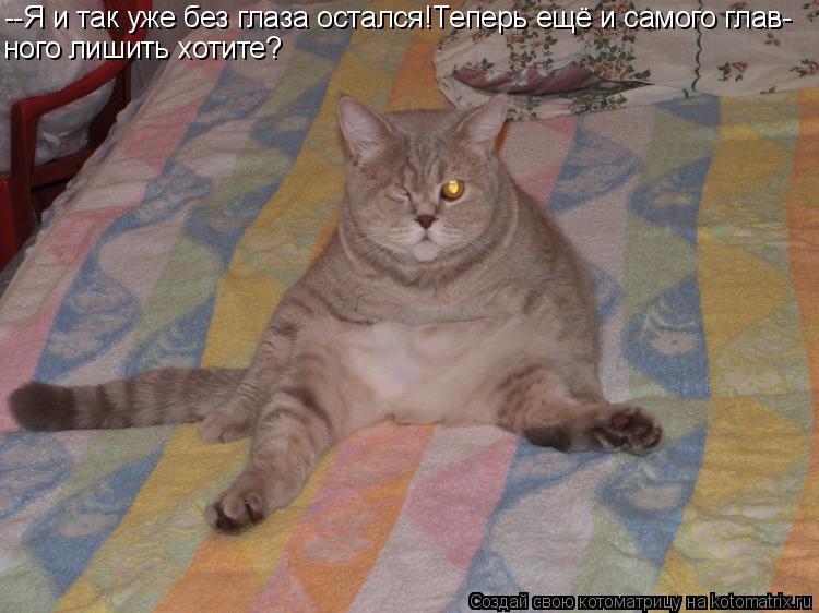 Котоматрица: --Я и так уже без глаза остался!Теперь ещё и самого глав- ного лишить хотите?