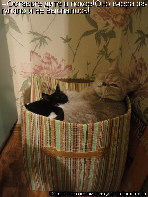 Котоматрица: --Оставьте дитё в покое!Оно вчера за- гуляло и не выспалось!