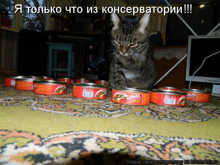 Котоматрица: Я только что из консерватории!!!