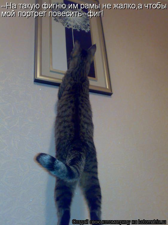 Котоматрица: --На такую фигню им рамы не жалко,а чтобы мой портрет повесить--фиг!