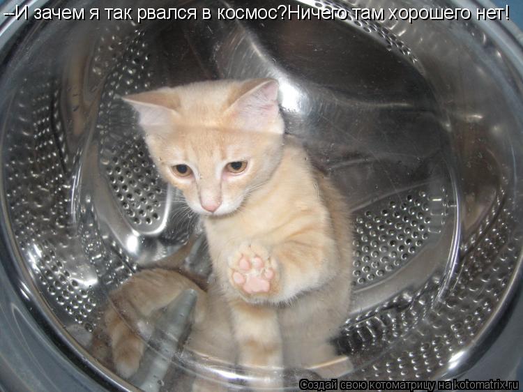 Котоматрица: --И зачем я так рвался в космос?Ничего там хорошего нет!