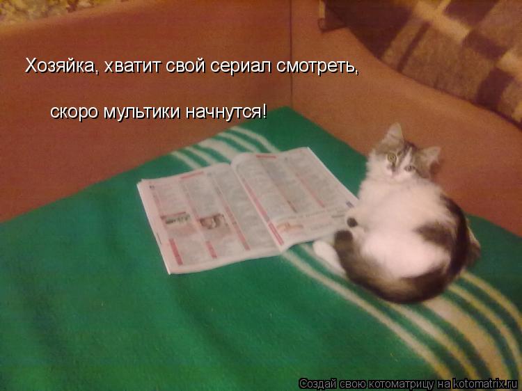 Котоматрица: Хозяйка, хватит свой сериал смотреть, скоро мультики начнутся!