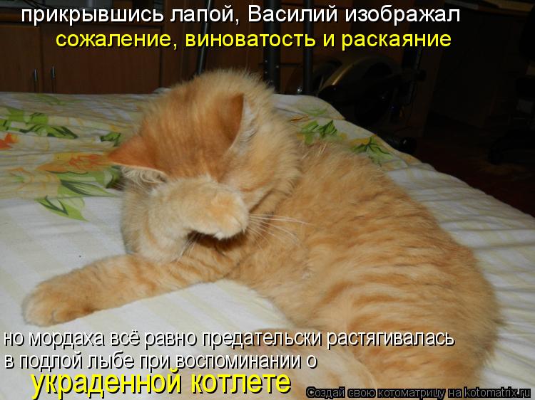Котоматрица: прикрывшись лапой, Василий изображал сожаление, виноватость и раскаяние в подлой лыбе при воспоминании о украденной котлете но мордаха вс