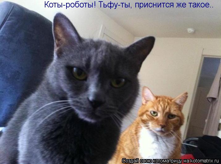 Котоматрица: Коты-роботы! Тьфу-ты, приснится же такое..