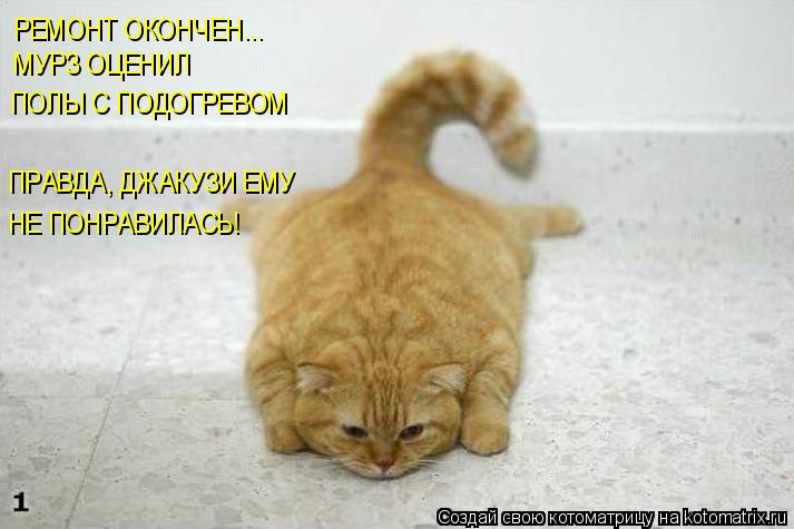 Котоматрица: РЕМОНТ ОКОНЧЕН... МУРЗ ОЦЕНИЛ  ПОЛЫ С ПОДОГРЕВОМ ПРАВДА, ДЖАКУЗИ ЕМУ НЕ ПОНРАВИЛАСЬ!