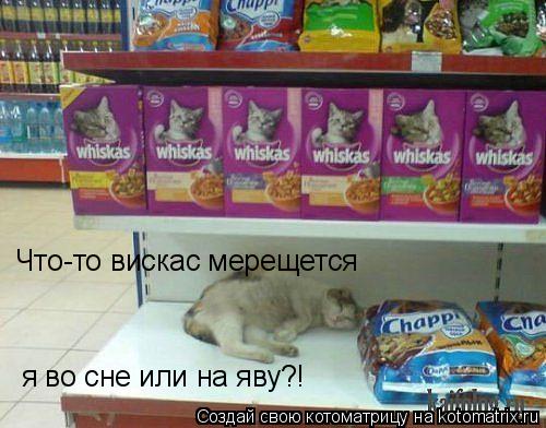 Котоматрица: Что-то вискас мерещется я во сне или на яву?!