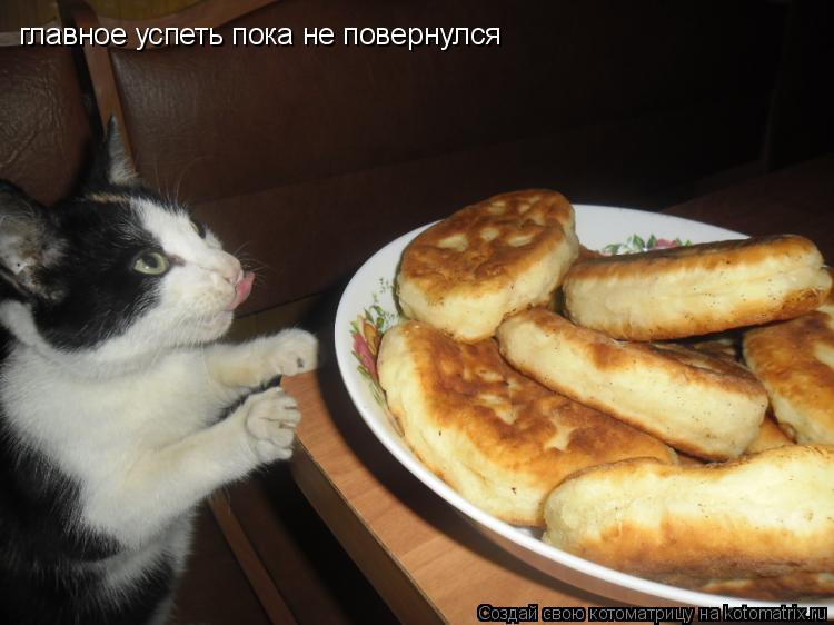 Котоматрица: главное успеть пока не повернулся