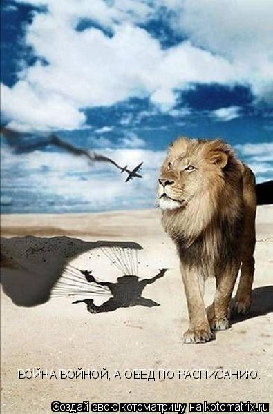 Котоматрица: ВОЙНА ВОЙНОЙ, А ОБЕД ПО РАСПИСАНИЮ.