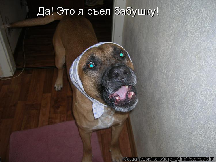 Котоматрица: Да! Это я съел бабушку!